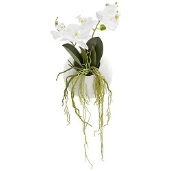 Umelá Rastlina Phalaenopsis Ii